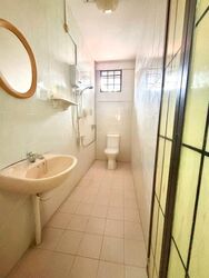 Macpherson Garden Estate (D13), Terrace #452790521